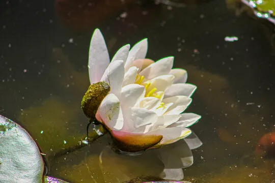 风暴娱乐 App Showcase